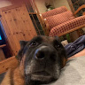 Meet your Posher, Brady